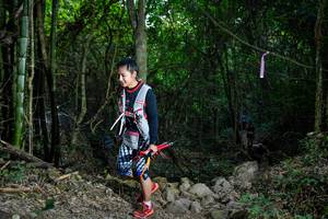 BIB: 
                            <button type="button" onclick="openModal(19440677)" class="btn btn-primary btn-sm float-right btn-popup" data-toggle="modal" data-target=".modal-high-quality">
                        <i class="fas fa-shopping-cart"></i> Add to Cart
                    </button>
                                            <button type="button" onclick="isThisMe(19440677, true)" class="btn btn-success btn-sm float-right btn-popup btn-isme hidden" data-toggle="tooltip" data-placement="bottom" title="นี่คือรูปของคุณใช่ไหม คลิกที่นี่เพื่อเอาเข้าอัลบั้ม">
                        <i class="fas fa-plus"></i> Add to album
                    </button>
                    <button type="button" onclick="isThisMe(19440677, false)" class="btn btn-warning btn-sm float-right btn-popup btn-isnotme hidden">
                        <i class="fas fa-ban"></i> Remove from album
                    </button>